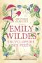 Emily Wilde 1 - Emily Wildes encyclopedie der feeën - beste fantasy 2024